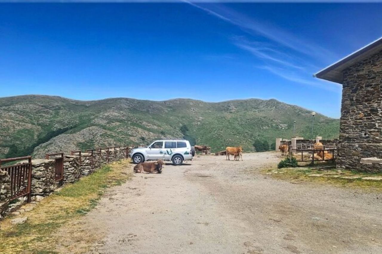 Tour in jeep con pranzo in Barbagia da Arbatax — 4