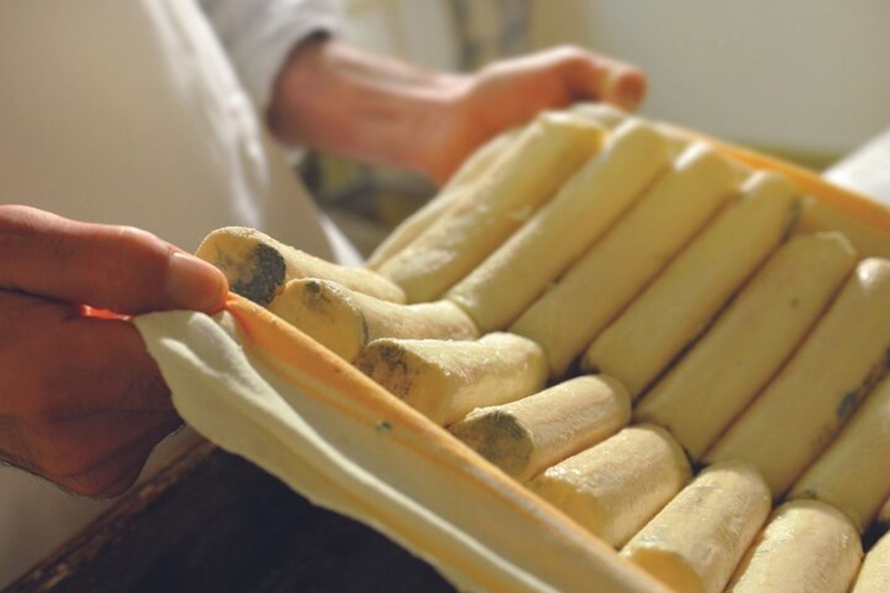 Visita il caseificio con degustazione di formaggi con trasporto in autobus — 3