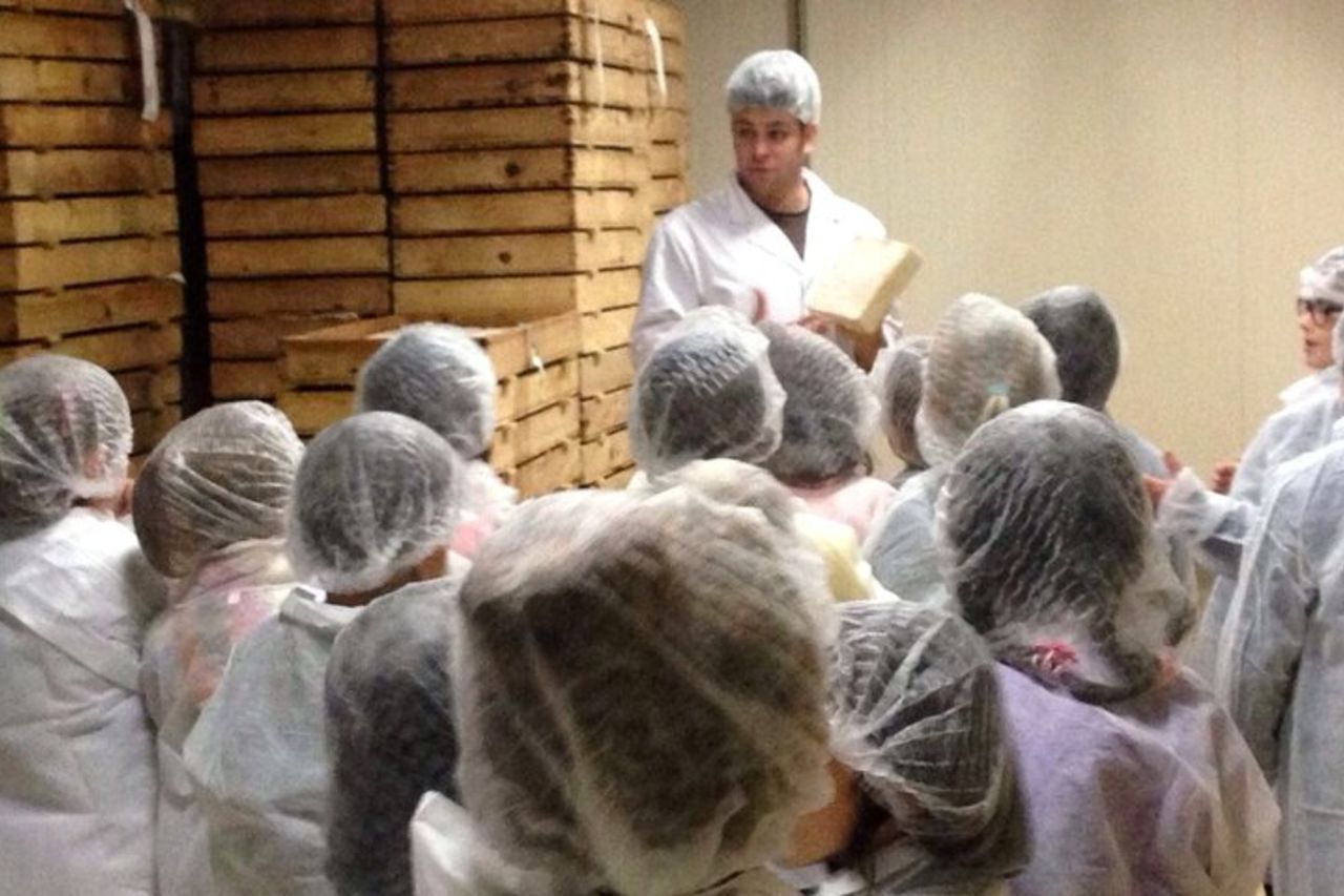 Visita il caseificio con degustazione di formaggi con trasporto in autobus — 4