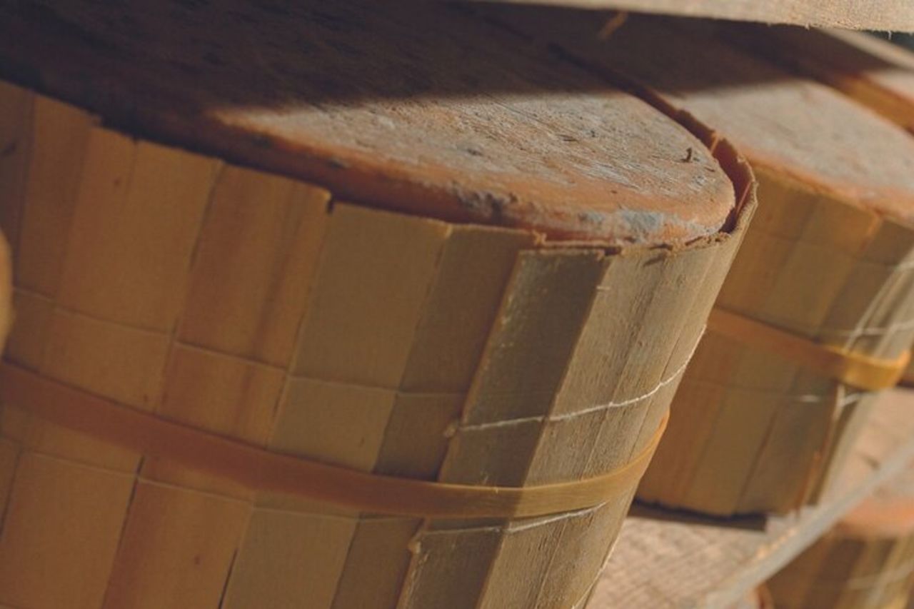 Visita il caseificio con degustazione di formaggi con trasporto in autobus — 6