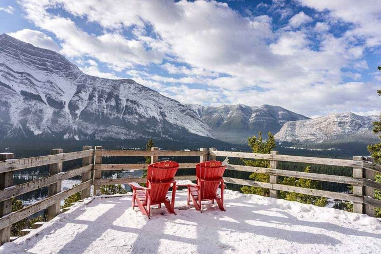 Punti salienti e fauna selvatica di Banff | Avventura pluripremiata per piccoli gruppi — 8