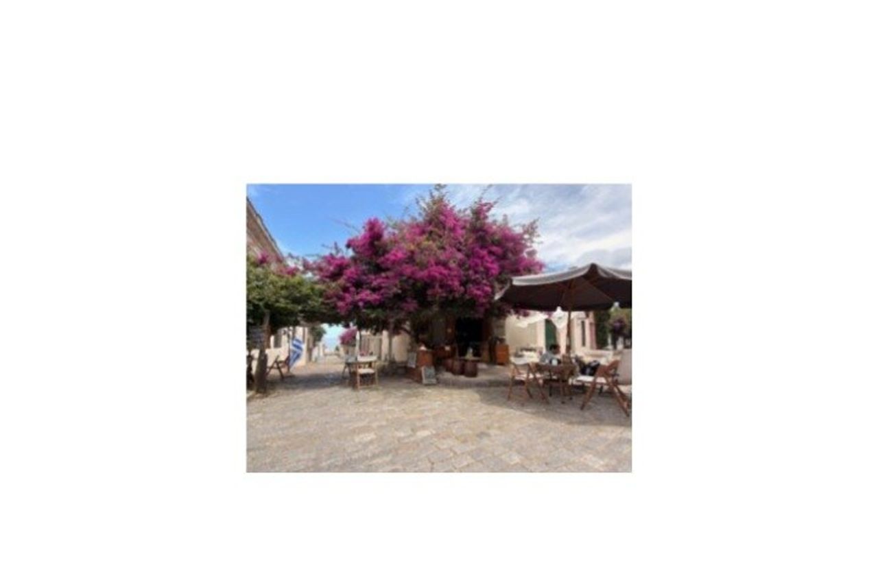 Tour a piedi della Colonia del Sacramento. INGLESE, SPAGNA, TEDESCO, POR — 2