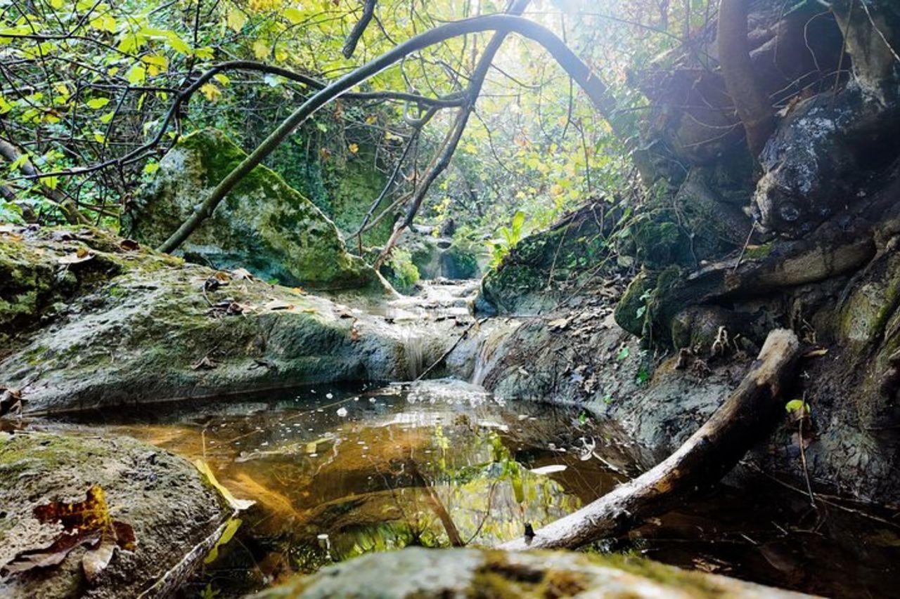 Sassari: escursione con gli asini a Cargeghe e aperitivo — 6