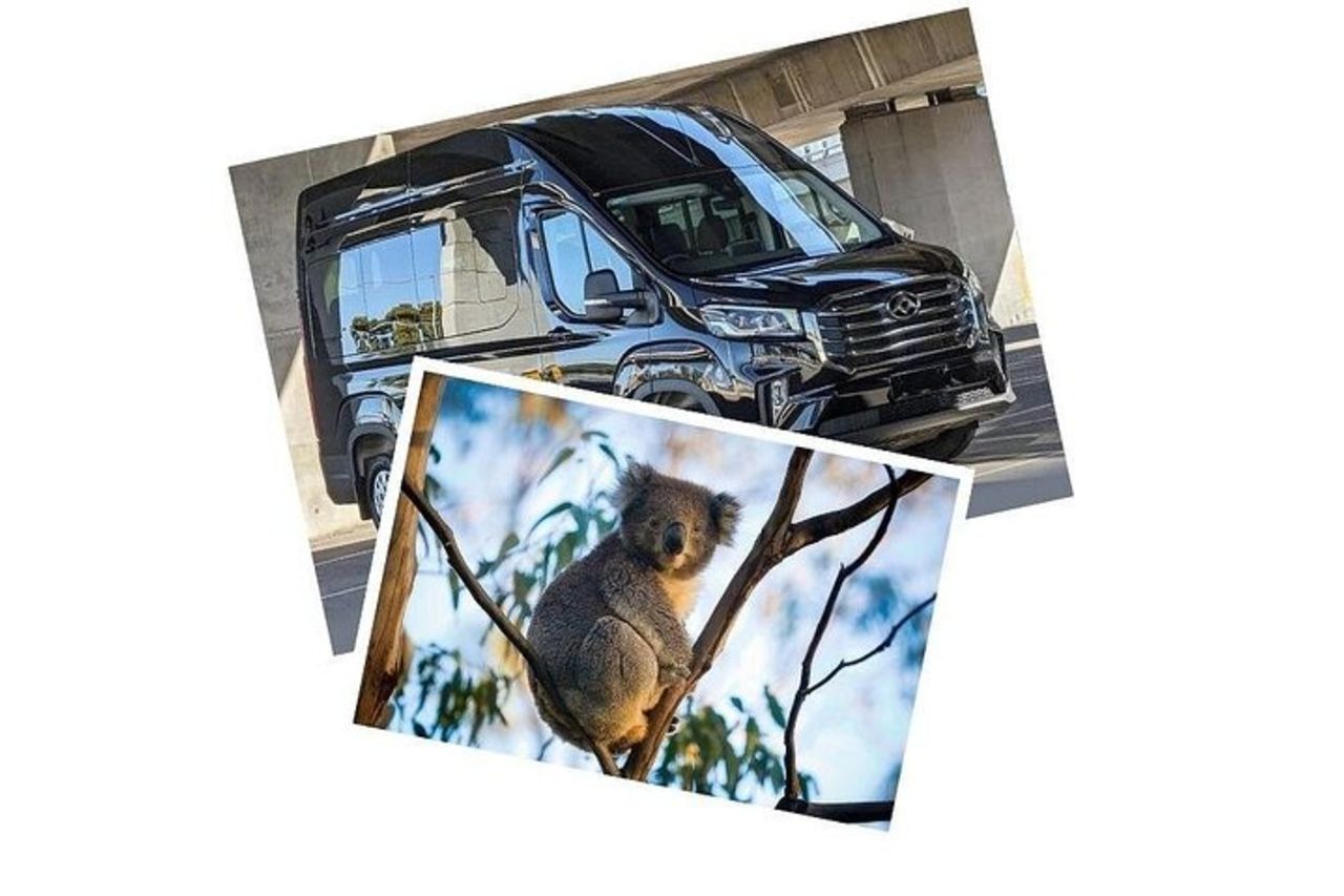 Great Ocean Road Tour Reverse–LTD GRP-DLUX Mini Bus Hotel Pickup — 4