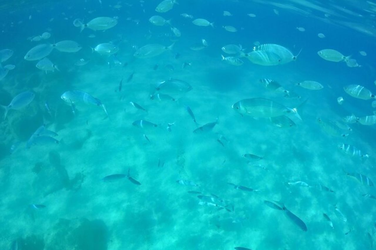 Da Cala Gonone noleggio gommoni nel Golfo di Orosei — 3
