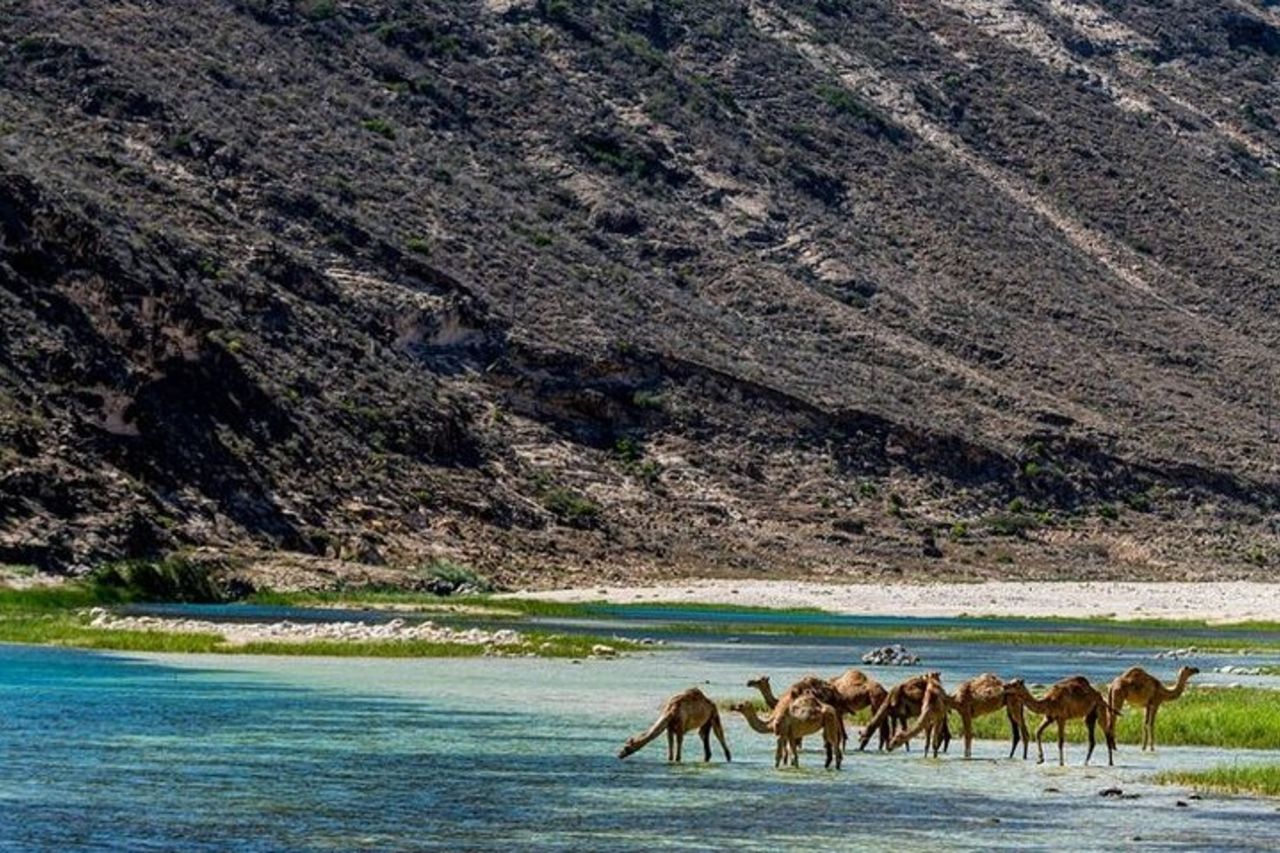 Fazayah Beach & Blowholes – Litorale turchese di West Salalah — 3