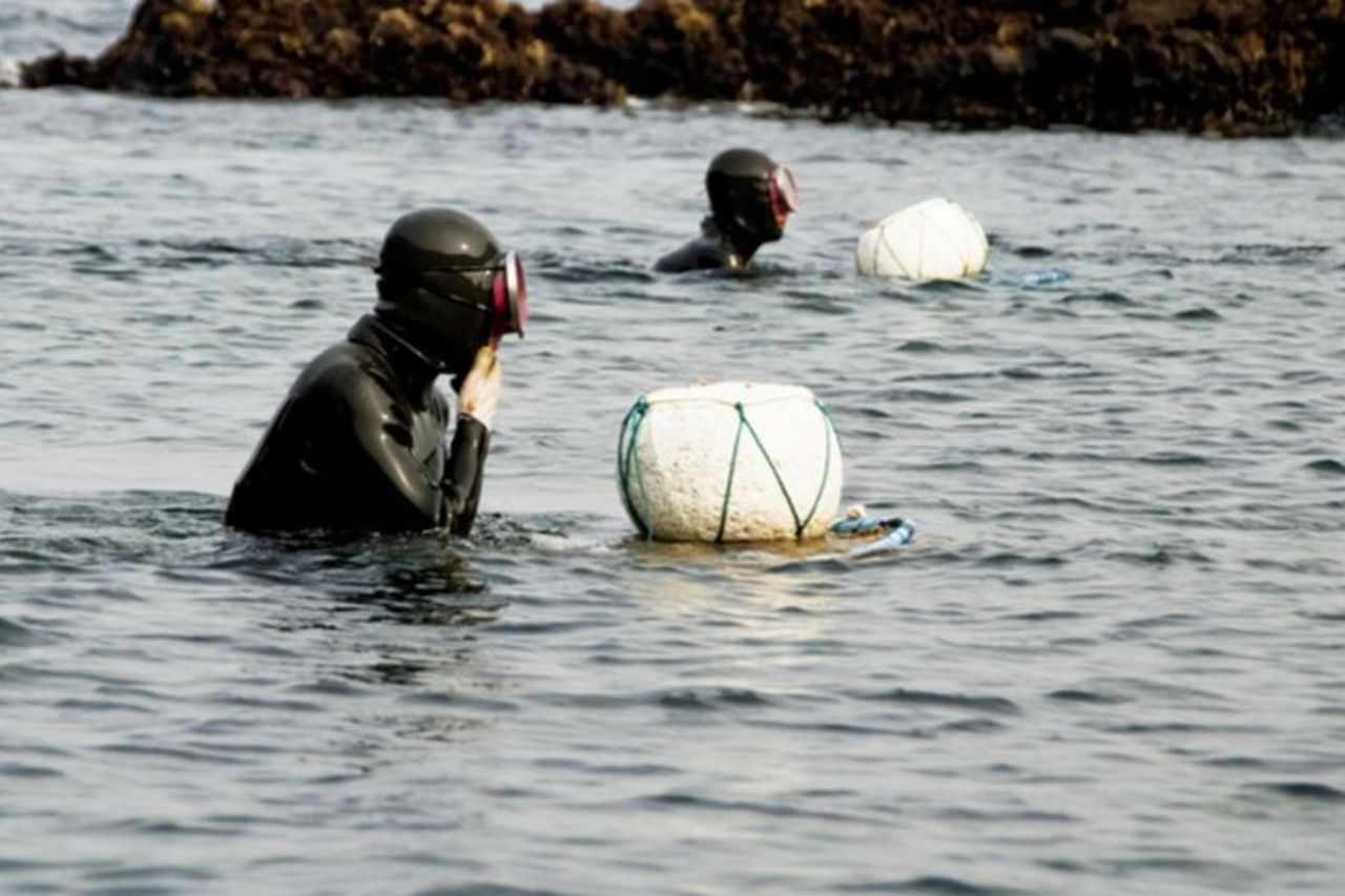 [Per gli ospiti della crociera] Jeju UNESCO Day Tour — 7