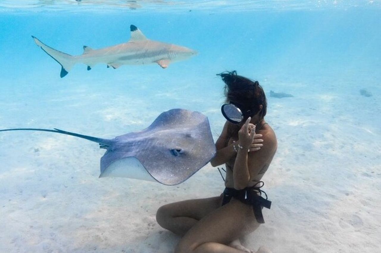 Escursione esclusiva al tramonto nella laguna con razze e squali — 2