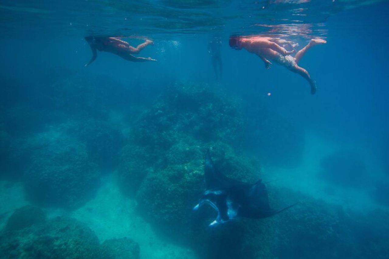 Bora Bora Intera giornata di snorkeling con pranzo — 3