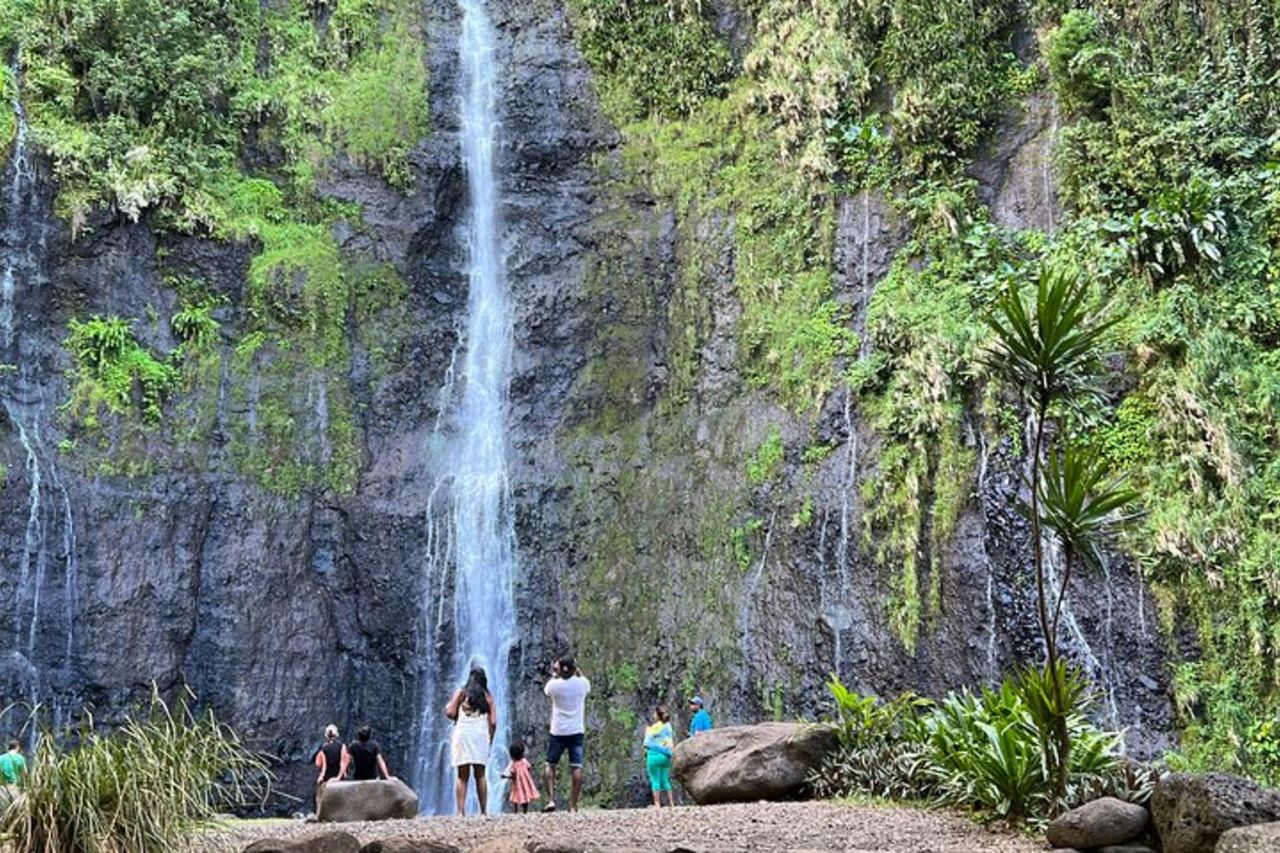 Tour unico di Tahiti: tour personalizzato della costa orientale per piccoli gruppi — 4