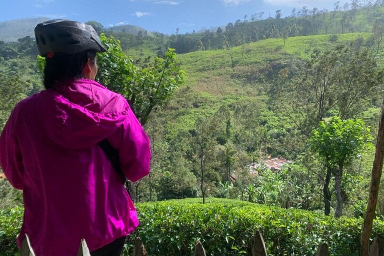 Ella Scenic Cycling Experience — 8