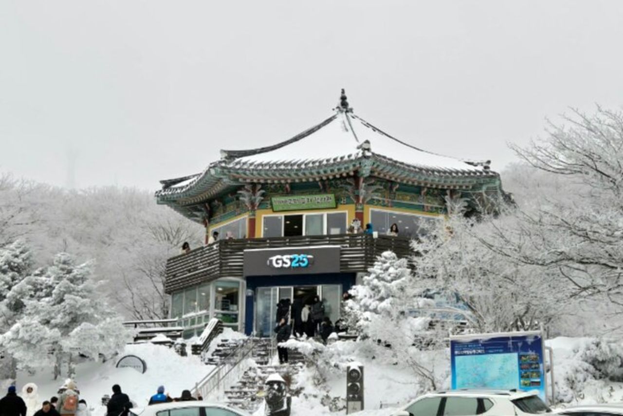 Jeju : tour di un giorno autentico del sud, patrimonio dell'UNESCO — 6
