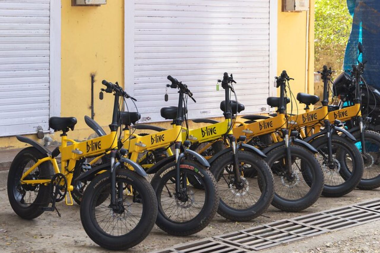 Da un'isola all'altra: esplorazione giornaliera in bici elettrica — 9