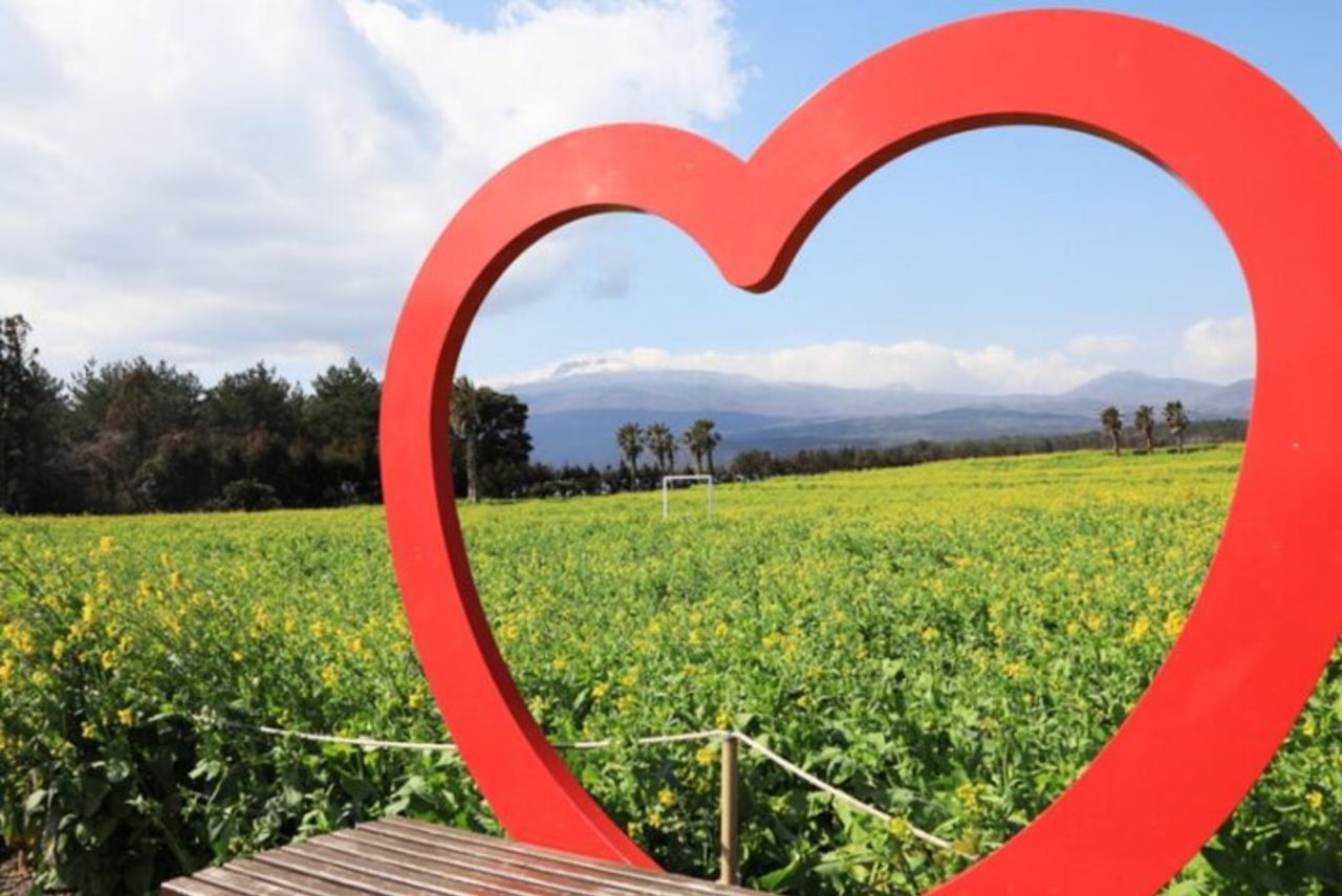 Jeju : tour di un giorno autentico del sud, patrimonio dell'UNESCO — 3