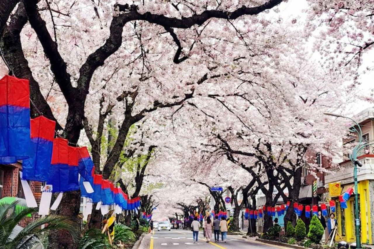 Jeju South-West Essentials : Hallasan & Signature Punti salienti — 7