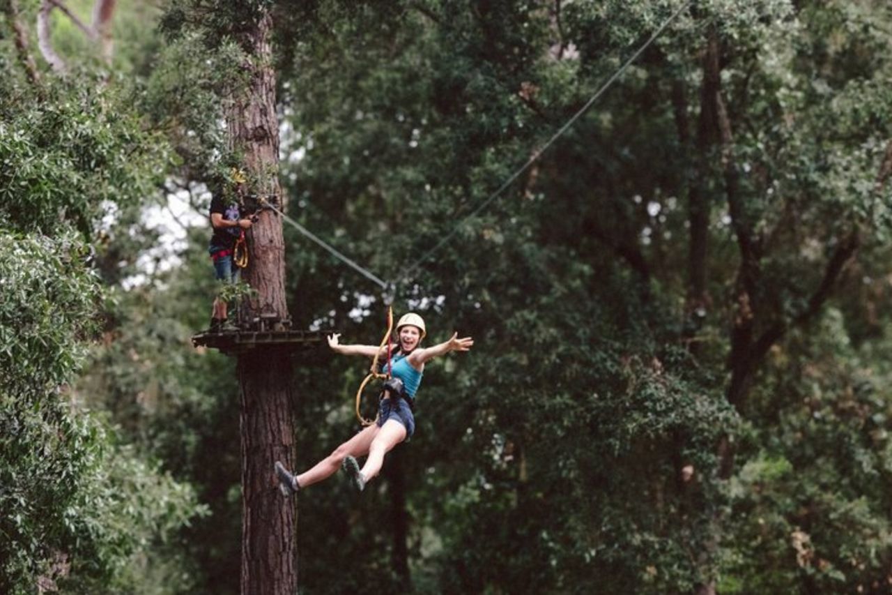 Da Pisa al mare : tour in bici e parco avventura autoguidati