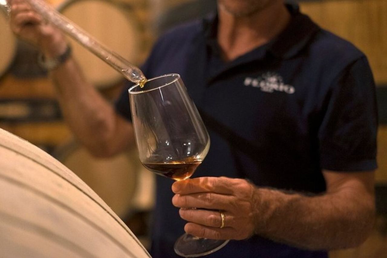 Marsala Wine Tasting Experience & Mothia — 3