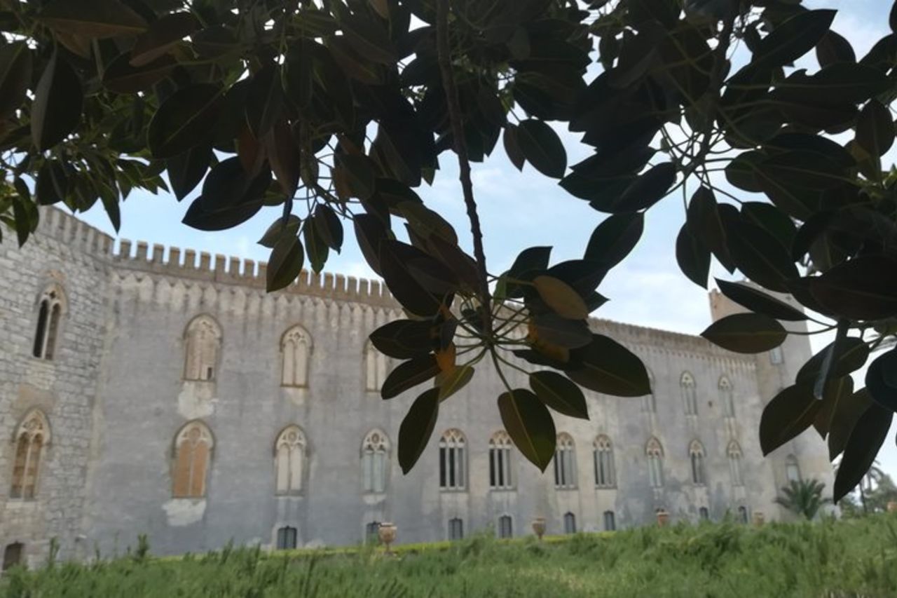 Tour di un giorno a Donnafugata, Modica e Noto ispirato al loto bianco — 4
