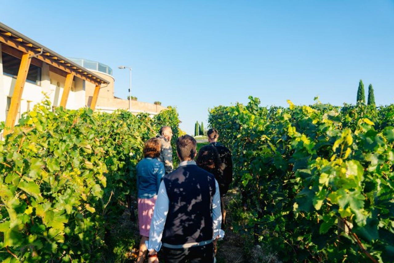 Garda DOC Vibes a Perla del Garda