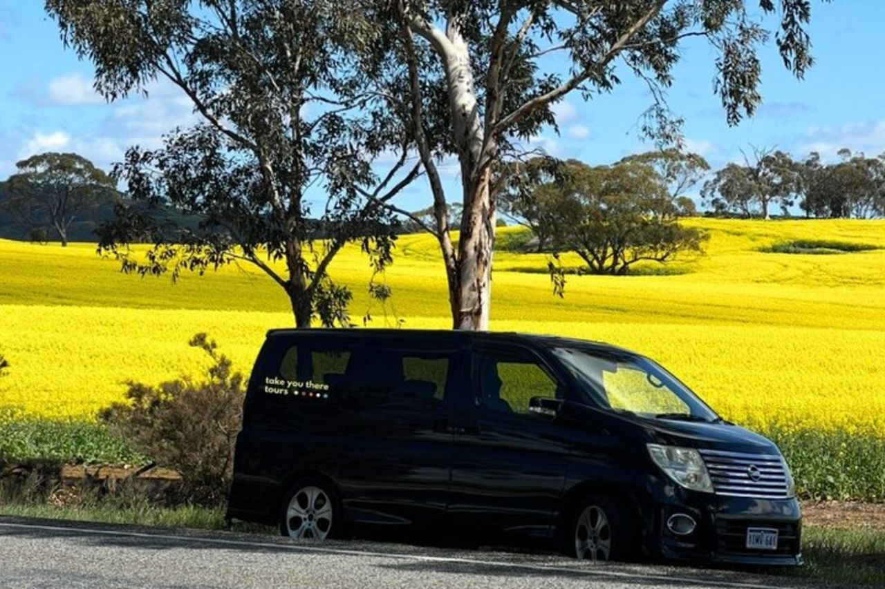 Fiori selvatici, campi di colza e tour storico di un giorno a New Norcia — 5