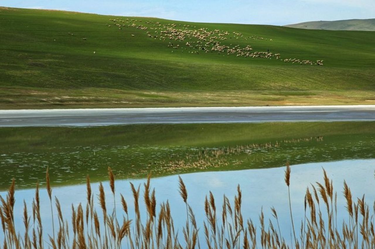 Gita di un giorno alle Montagne Arcobaleno e David Gareja — 5