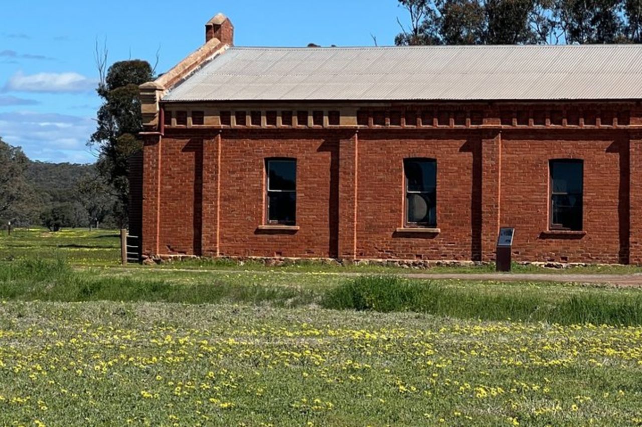 Fiori selvatici, campi di colza e tour storico di un giorno a New Norcia — 7