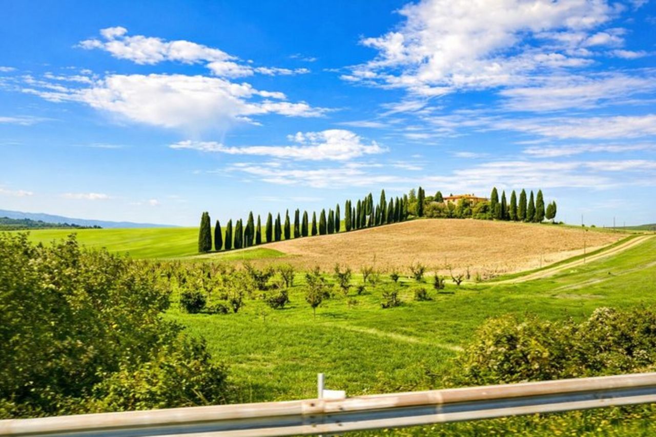 Siena : Best of Tuscany Wines & Lunch a Montepulciano piccolo gruppo