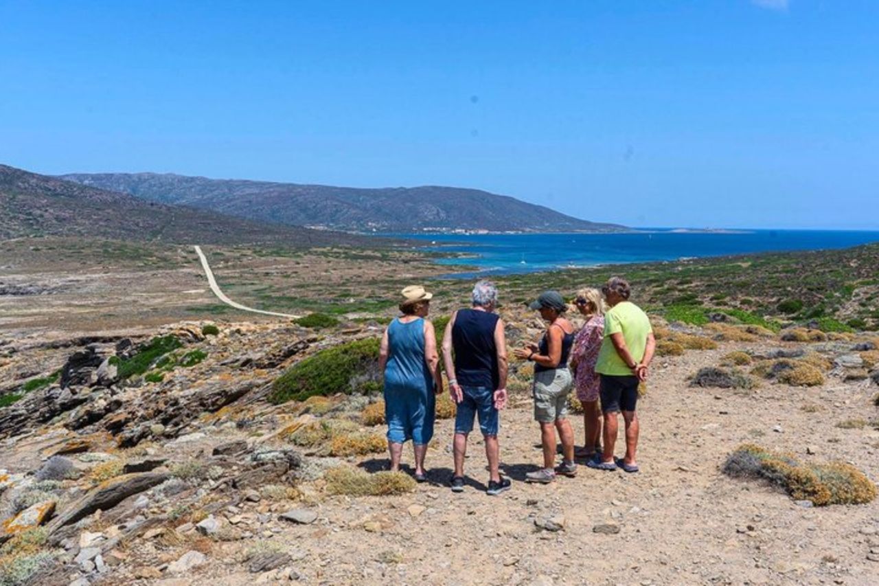 Da Stintino: tour in minivan dell'Asinara — 3