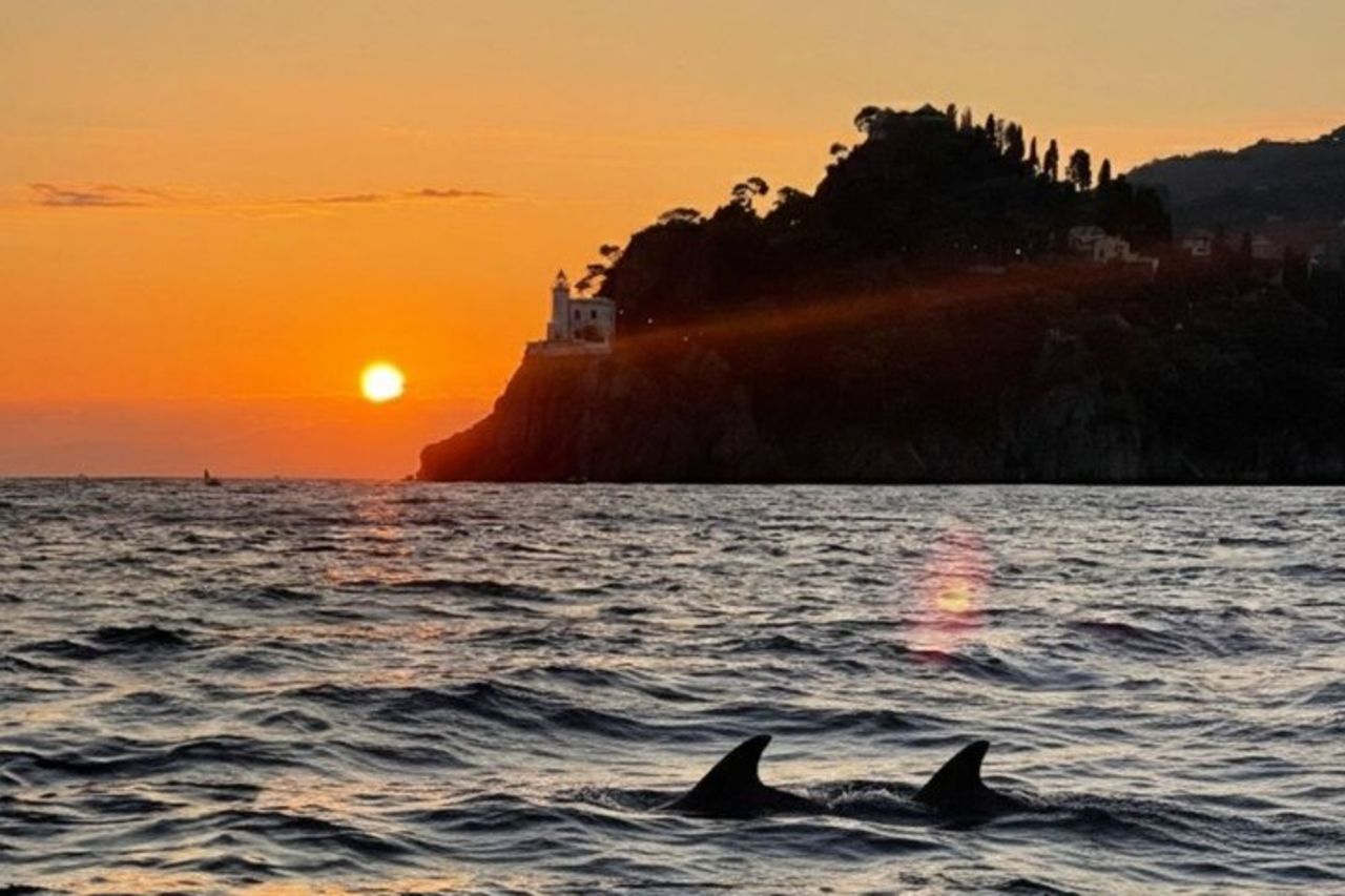 Tour privato in barca al tramonto con aperitivo nel Golfo di Portofino — 5