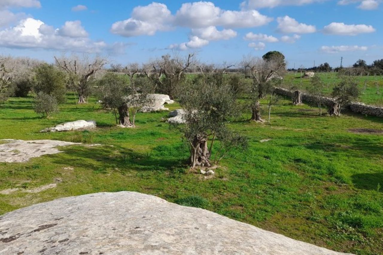 Tour in bici del Giardino Megalitico d'Italia e della Valle d'Idro — 2