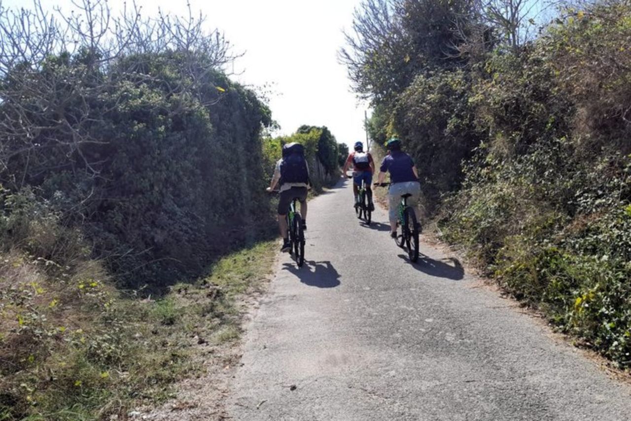 Tour in bici del Giardino Megalitico d'Italia e della Valle d'Idro — 4