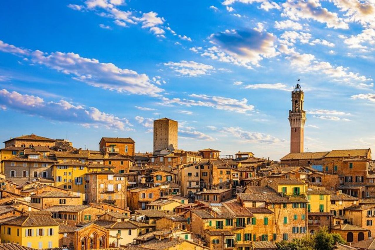 Tour del vino Brunello di Montalcino da Siena — 5