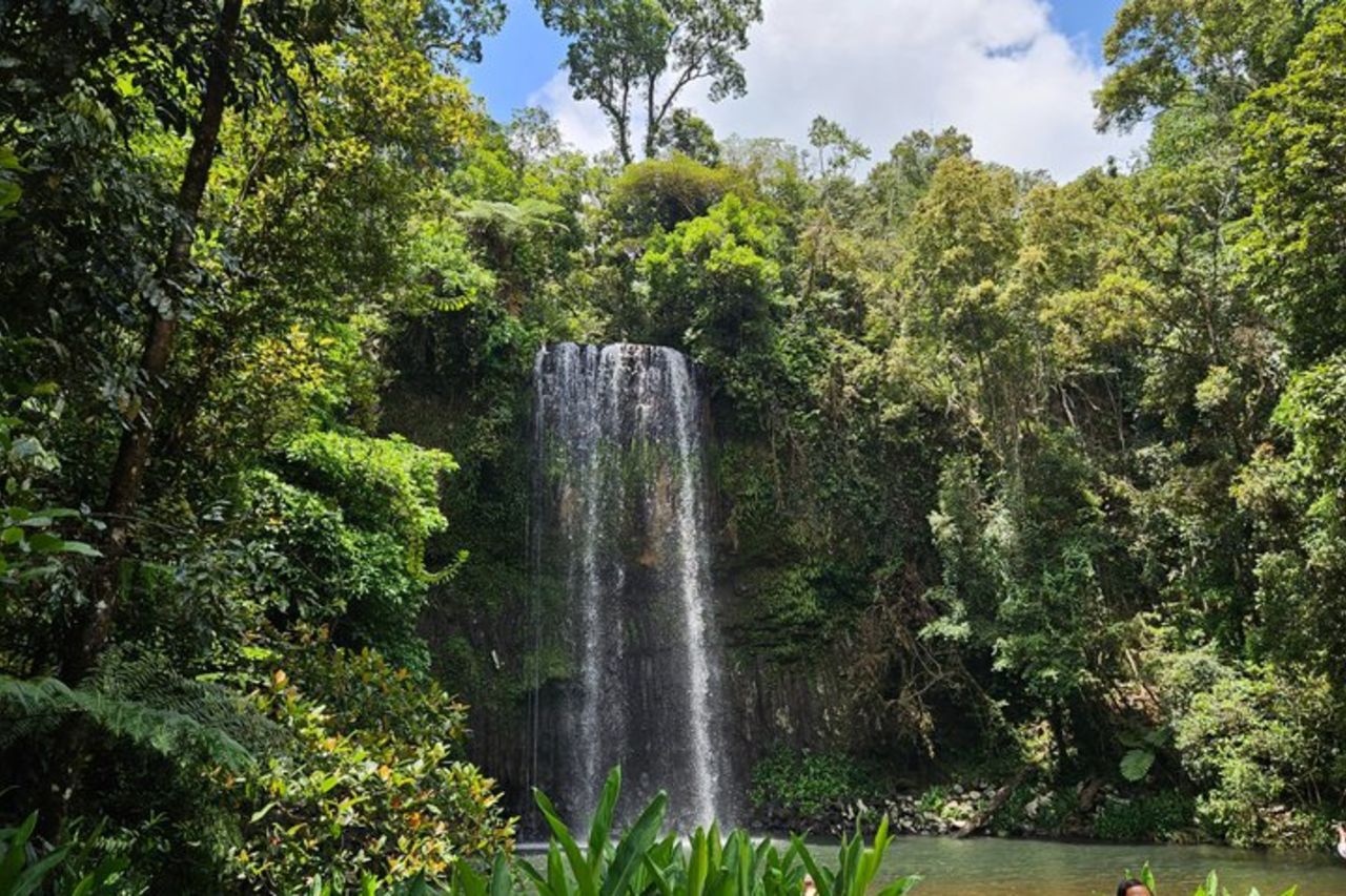 Tour di un giorno al Parco Paronella, al Lago Barrine e alle cascate Millaa Millaa — 4