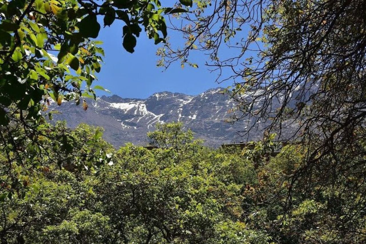 Escursione di un giorno a Essaouira da Marrakech — 3