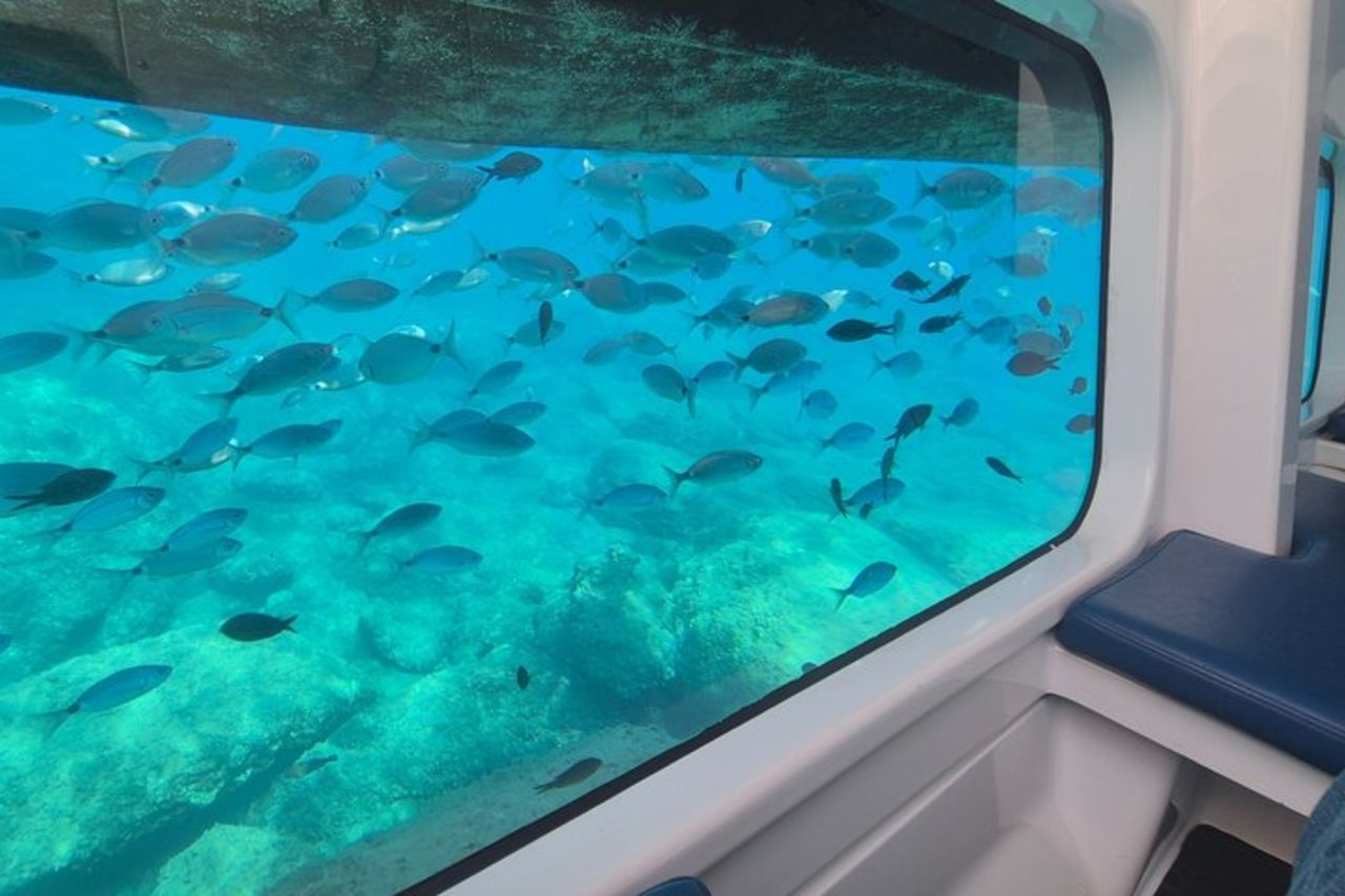 1-Ora Tour Guidato in Semi-Sottomarino all'Isola Bella — 5