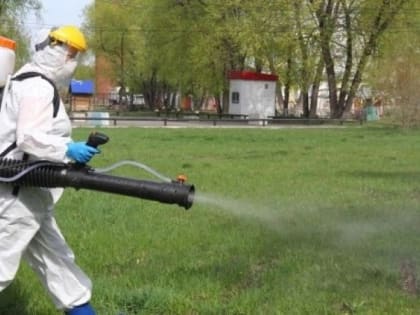 В Коми начало сокращаться число людей, которых укусили клещи