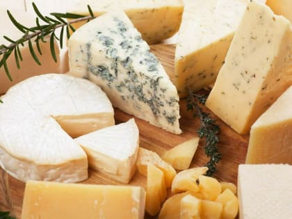Диетолог: 50 г сыра в день принесёт пользу для организма