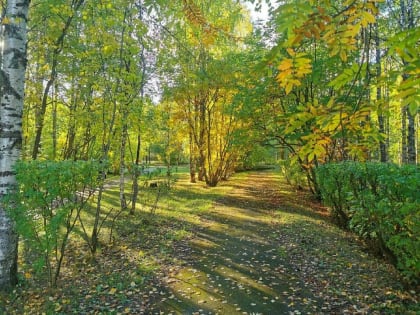 Врач: Здоровый сон и правильное питание не дадут заболеть осенью