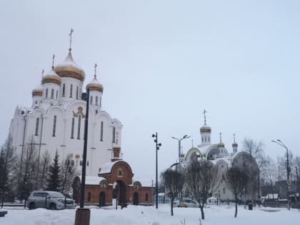 Май в Коми назван самым холодным за всю историю наблюдений