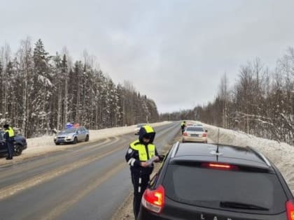 14 февраля ухтинские автоинспекторы проведут массовые проверки водителей