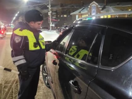 В пятницу, 2 февраля, автоинспекторы будут проводить массовую проверку водителей