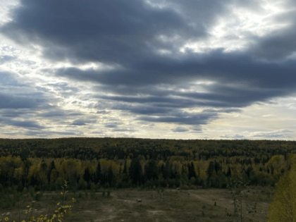 В Коми сентябрь 2023 года перекрыл прежние температурные рекорды