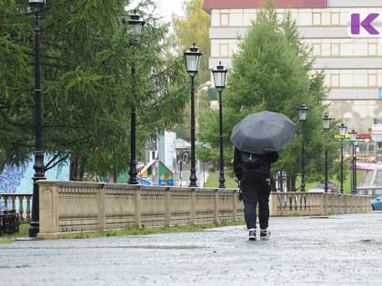 Погода в Коми 10 августа: на юге - дождь и гроза, на севере - без осадков