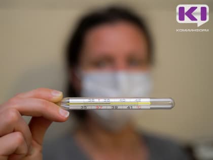 В Коми пришел грипп В