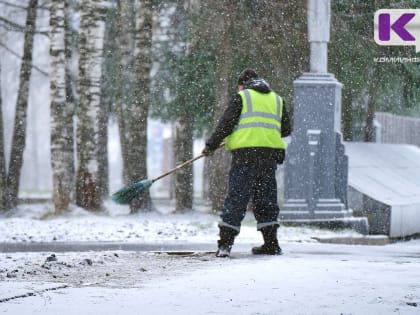 Погода в Коми 20 декабря: мокрый снег, замерзающий дождь, -4...+1°С