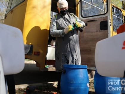 За неделю от укусов клещей пострадали 13 жителей Коми