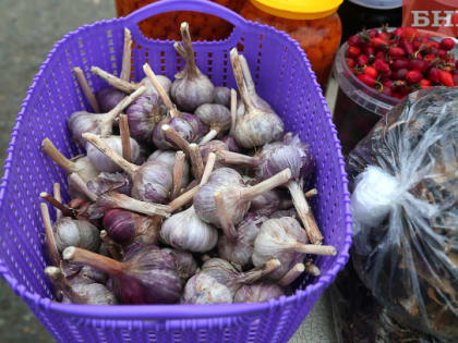 Врач назвал, сколько нужно съесть лука и чеснока для антимикробного эффекта