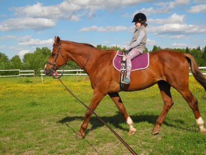 Иппотерапия стала доступней для особенных детей в Сыктывкаре и Сыктывдине