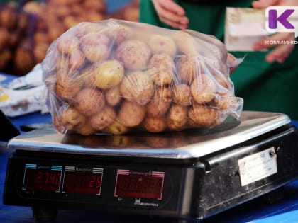 В Коми картофель за неделю подешевел сразу на 10%
