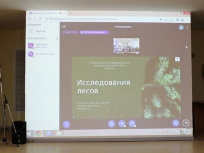 Лесной институт и Гродненский университет Беларуси обсудили возможные направления сотрудничества